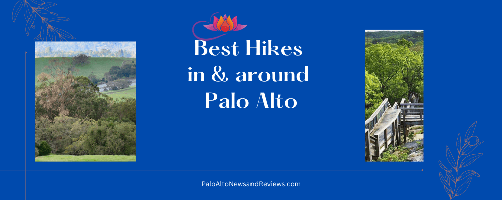 Top Palo Alto Hikes