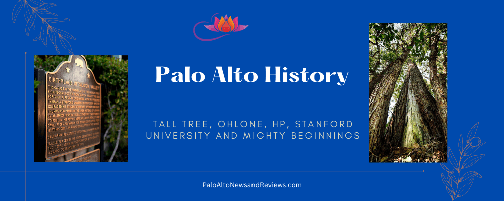Palo Alto History | Ohlone, A Tall Tree, HP and Mighty Beginnings